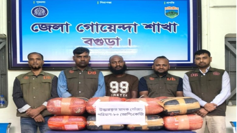 বগুড়ায় বালু ভর্তি ট্রাকে মিলল ৮০ কেজি গাঁজা